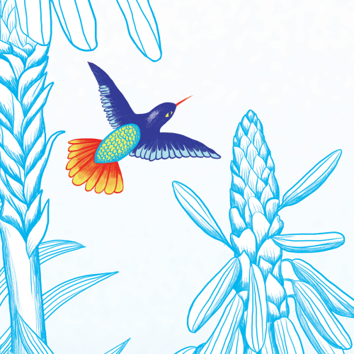 Papier peint colibri - l'envol - Acte-Deco