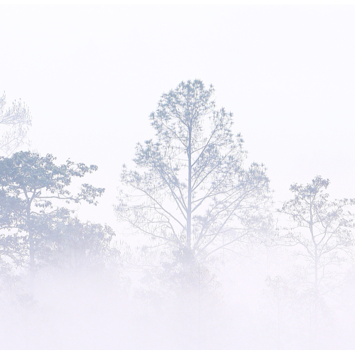 Panoramic Morning Mists 08 Wallpaper | Size L Acte-Deco