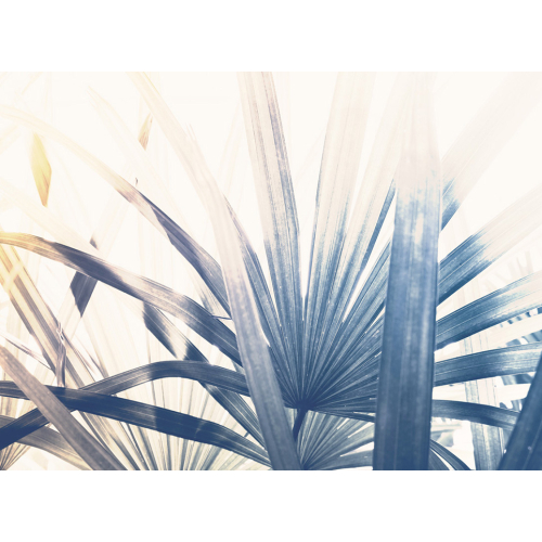 Papier peint palme panoramique - Lady Palm - Acte-Deco